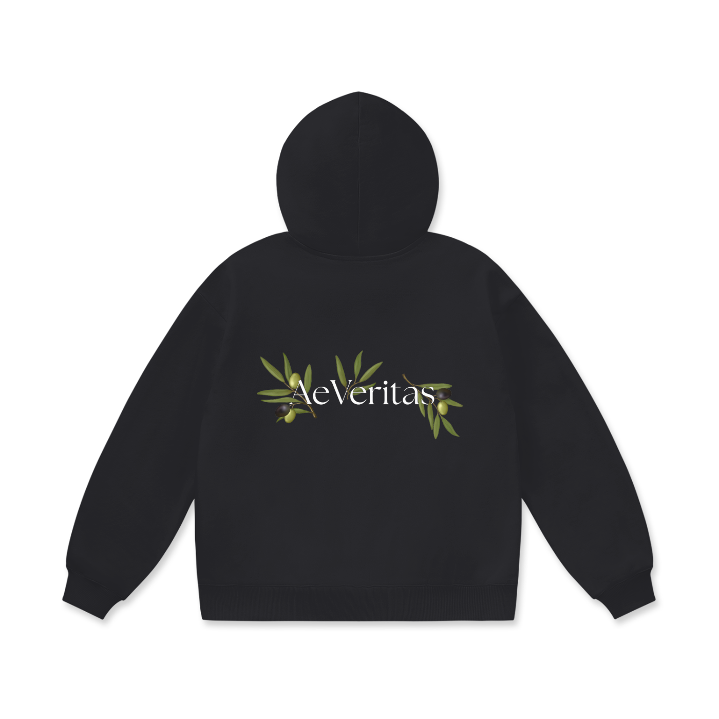 AeVeritas Prisca Edition Hoodie (Black)