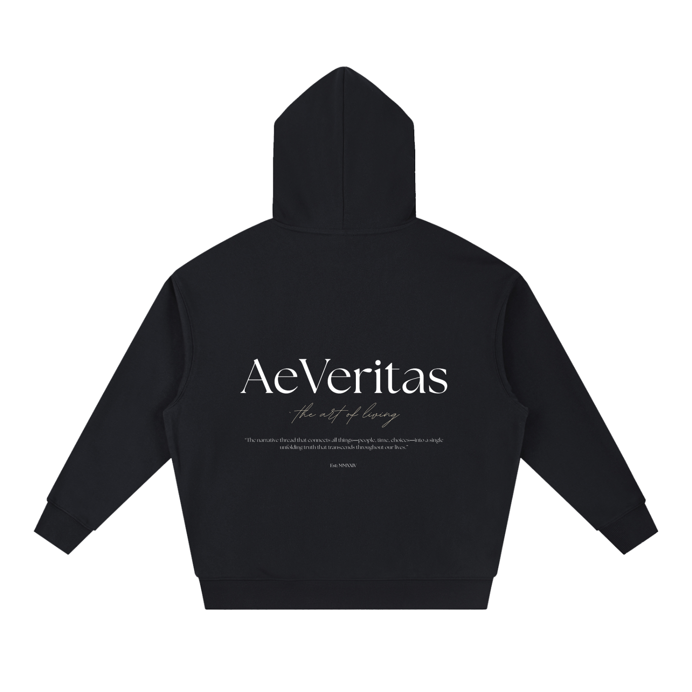 AeVeritas Boxy Dark Heavyweight Hoodie