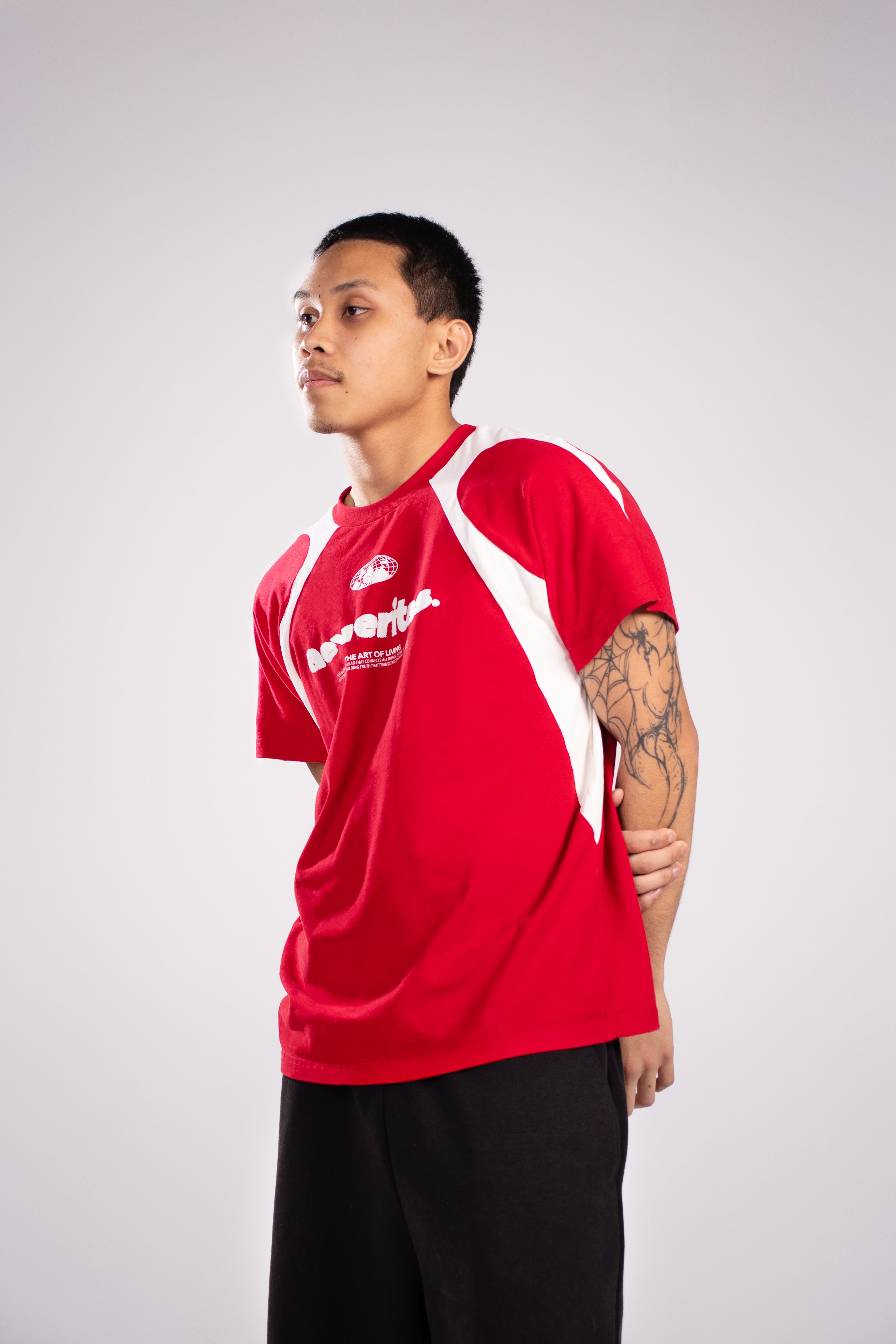 AeVeritas The World - Classic Tee