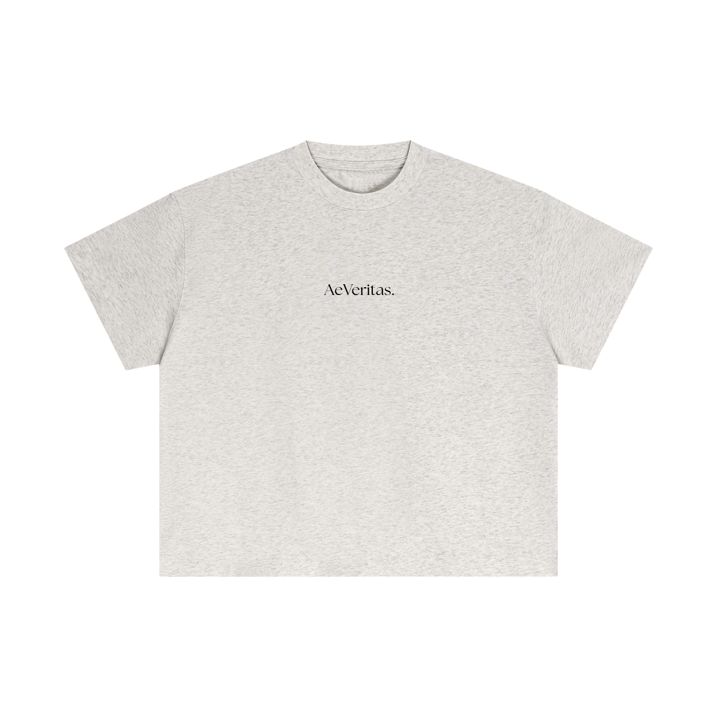 AeVeritas Essentials - Light Boxy T-Shirt