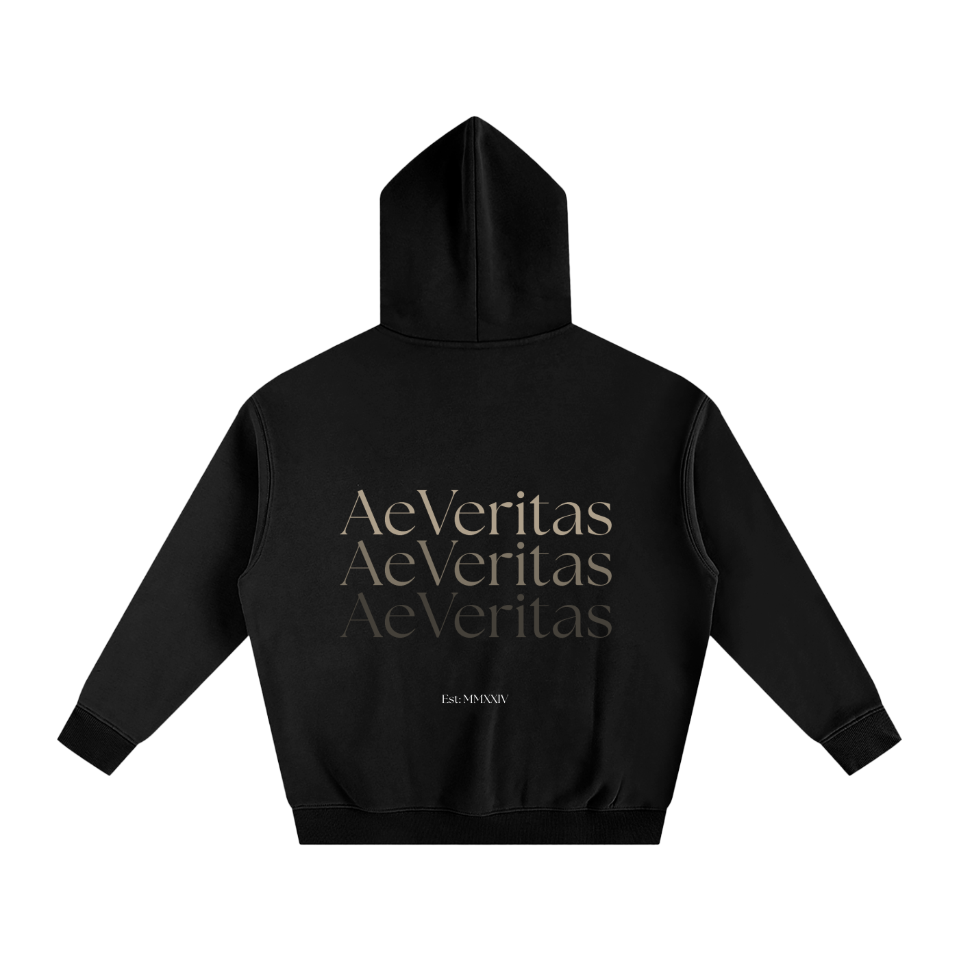 AeVeritas. X3 Oversized Fleece Hoodie