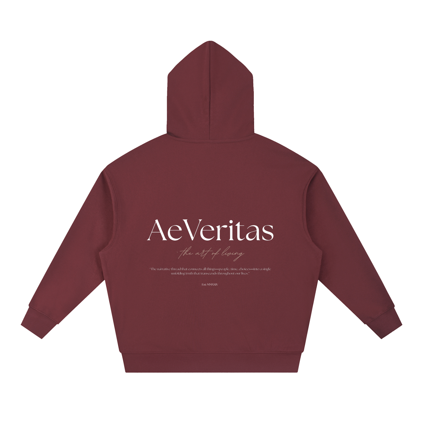 AeVeritas Boxy Dark Heavyweight Hoodie