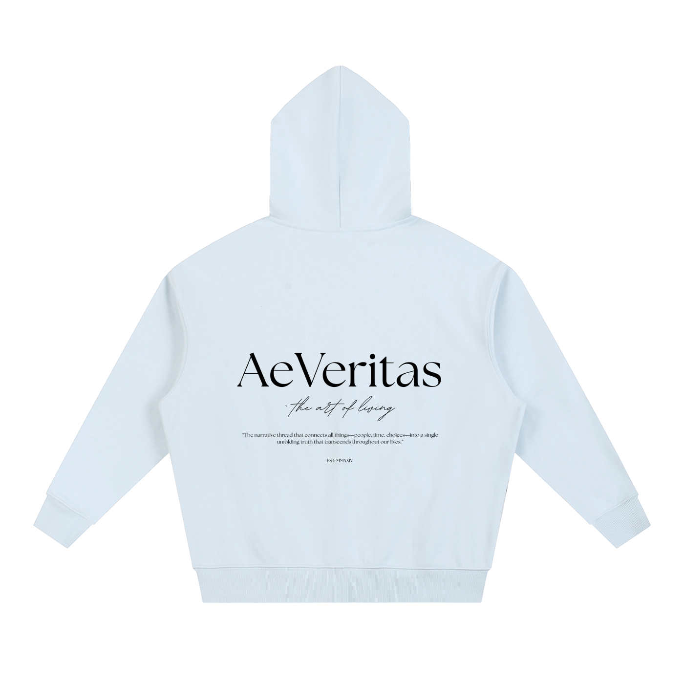 AeVeritas Light Boxy Heavyweight Hoodie