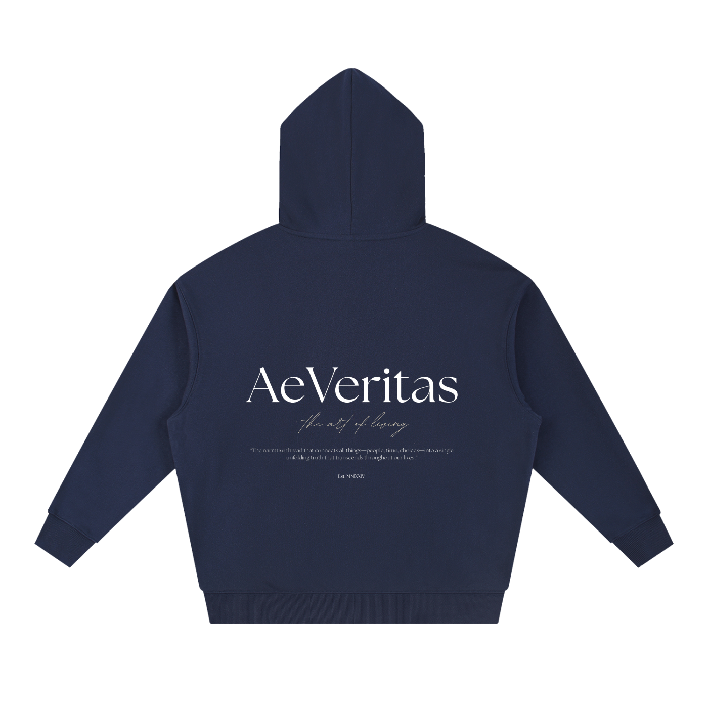 AeVeritas Boxy Dark Heavyweight Hoodie