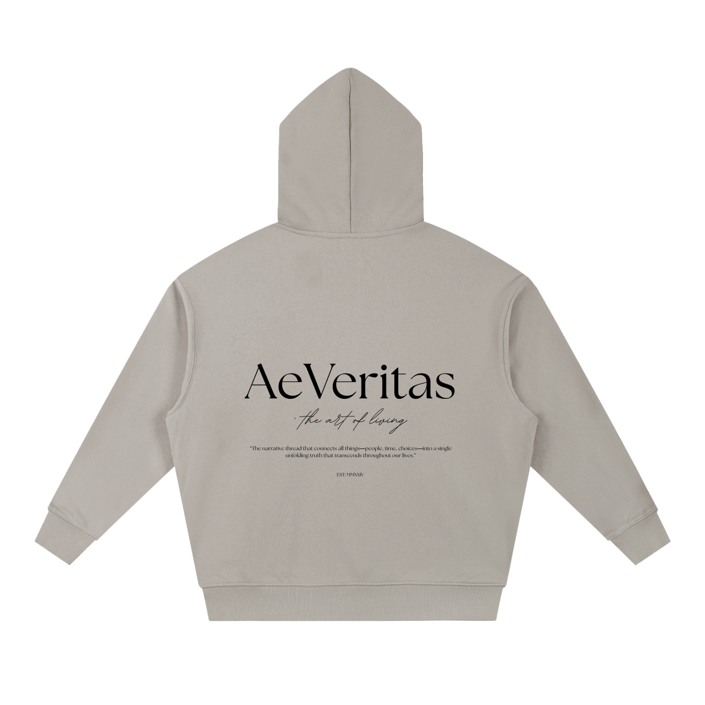 AeVeritas Light Boxy Heavyweight Hoodie