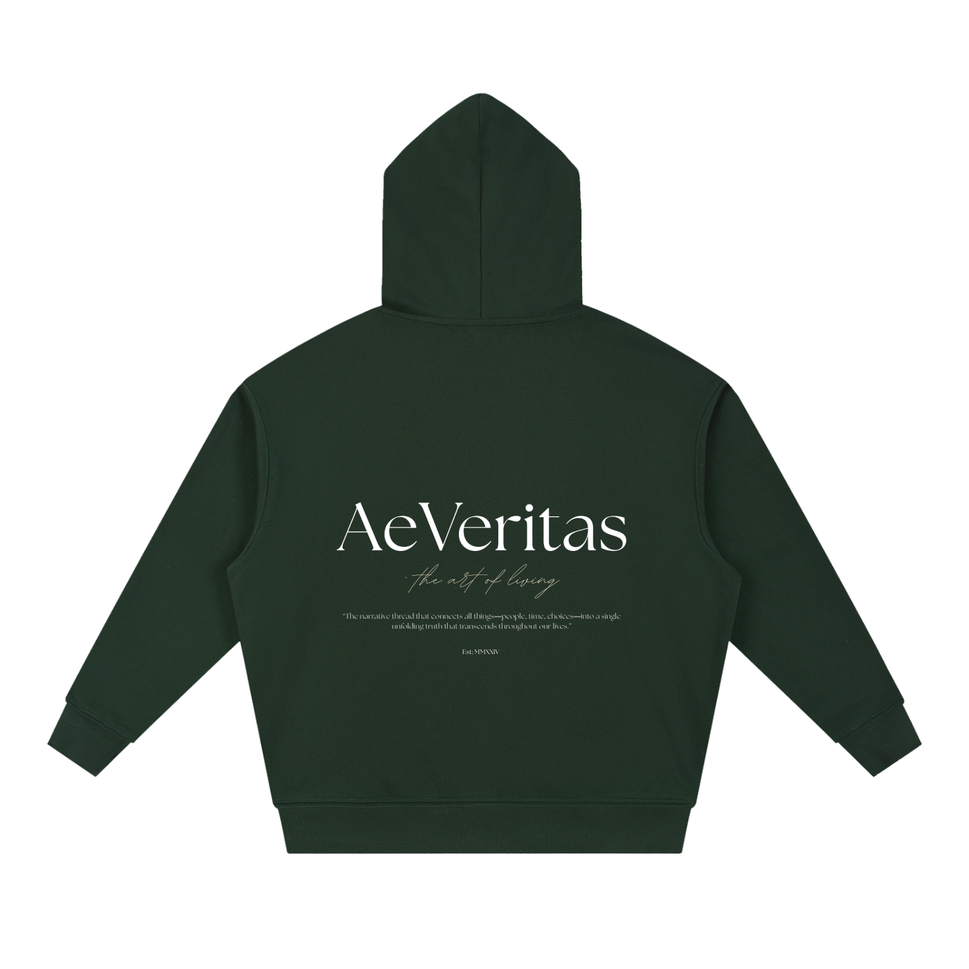 AeVeritas Boxy Dark Heavyweight Hoodie