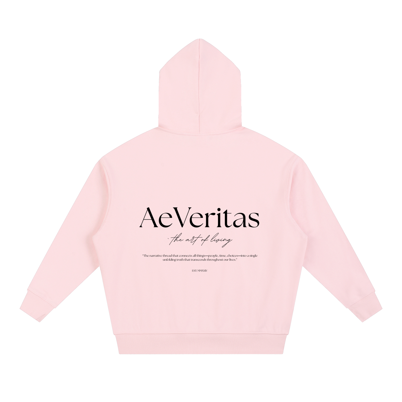 AeVeritas Light Boxy Heavyweight Hoodie